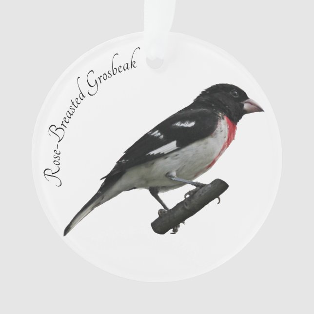 Grosbeak mit Rose Ornament (Vorderseite)