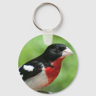 Grosbeak mit Rose Schlüsselanhänger