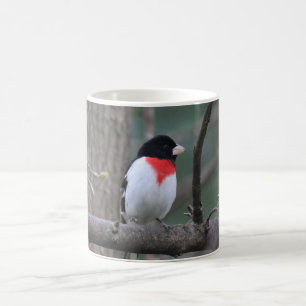 Grosbeak-Tasse Kaffeetasse