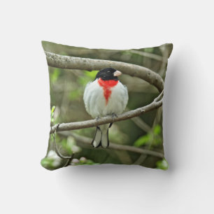 Grosbeak von Rose - Pheucticus ludovicianus Kissen
