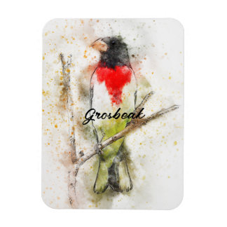 Grosbeak von Rose (Pheucticus ludovicianus) Magnet