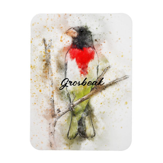 Grosbeak von Rose (Pheucticus ludovicianus) Magnet (Vertikal)