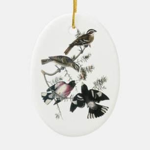 Grosbeak von Rose von Audubon Keramik Ornament