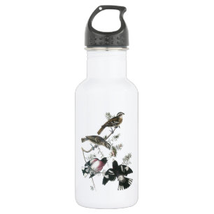 Grosbeak von Rose von Audubon Trinkflasche
