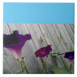 Groß, dekorativ fliese