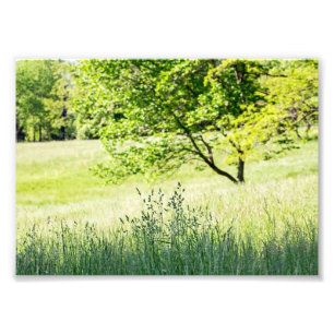 Groß Fotodruck