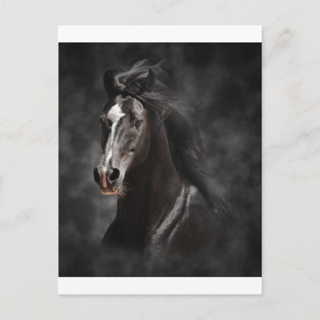 Groß, mutig und stolz postkarte (Vorderseite)