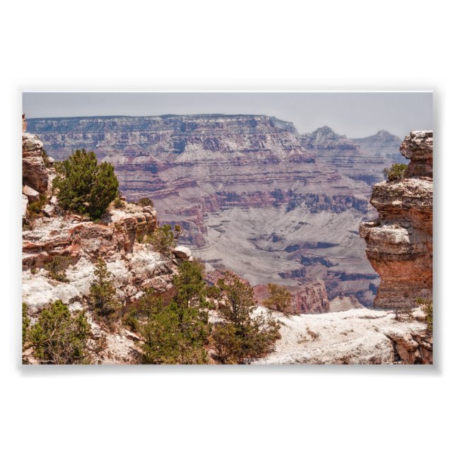 Großansicht der Ente Fotodruck (Vorne)