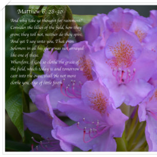 Großartig ist deine Treue! Postkarte