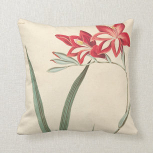 Großartige Mais-Flagge Kissen