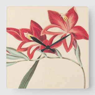 Großartige Mais-Flagge Quadratische Wanduhr