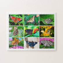 Großartige Schmetterlinge Collage, Alter 8, 252 St