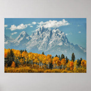 Großartige Teton Berge im Fall Poster