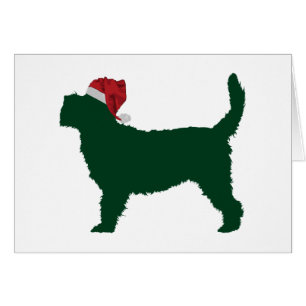 Großartiger Dachshund Griffon Vendeen