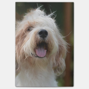 Großartiger Dachshund-Hund Post-it Klebezettel