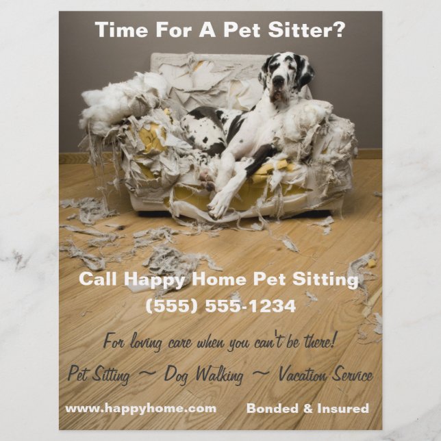 Großartiger Dan auf aufgebähtem Sofa Haustier Sitt Flyer (Vorne)