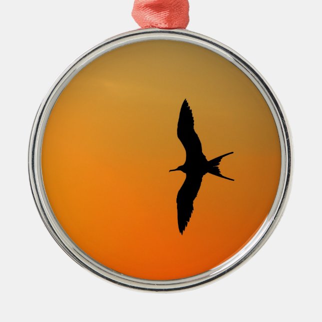 Großartiger Fregattvogel mit orangefarbenem Sonnen Ornament Aus Metall (Vorne)