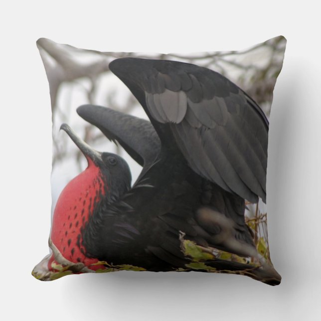 Großartiger Frigate Bird Kissen (Vorderseite)