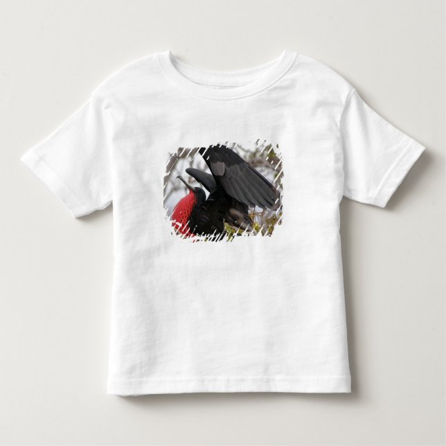Großartiger Frigate Bird Kleinkind T-shirt (Vorderseite)