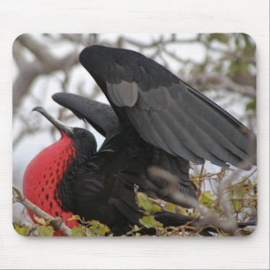Großartiger Frigate Bird Mousepad