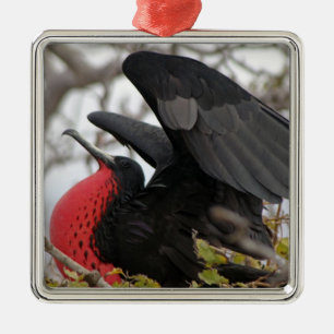 Großartiger Frigate Bird Ornament Aus Metall