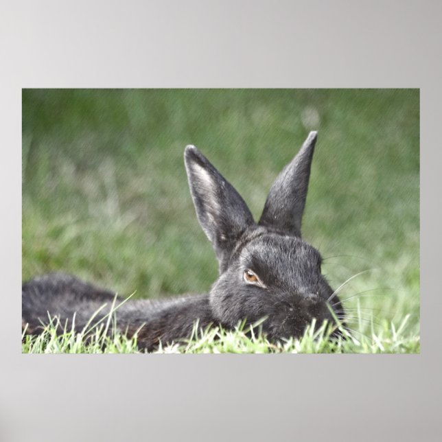 Großartiger Kunstdruck Poster (Vorne)