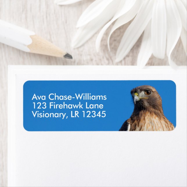 Großartiger Rotschwanzfalken in der Sonne (Insitu)