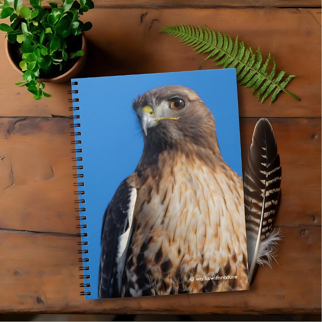 Großartiger Rotschwanzfalken in der Sonne Notizblock (Magnificent Red-Tailed Hawk in the Sun Journal Cover Photo 1)