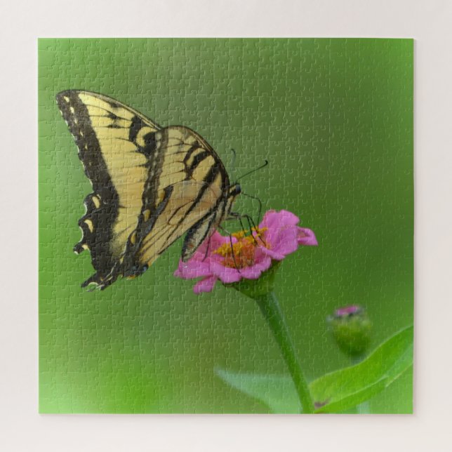 Großartiger Schmetterling über Zinnia Puzzle (Vertikal)