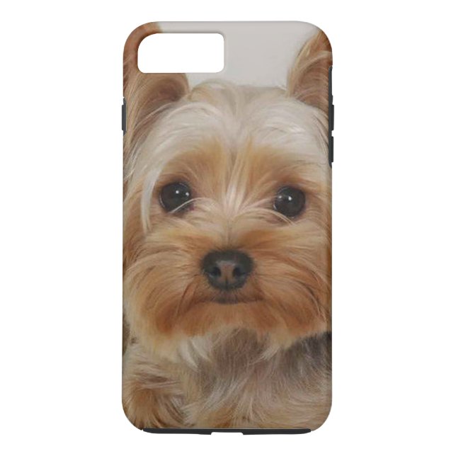 Großartiger Yorkshire Terrier Case-Mate iPhone Hülle (Rückseite)