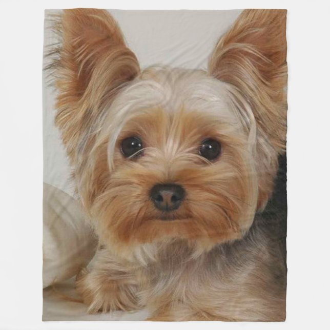 Großartiger Yorkshire Terrier Fleecedecke (Vorderseite)