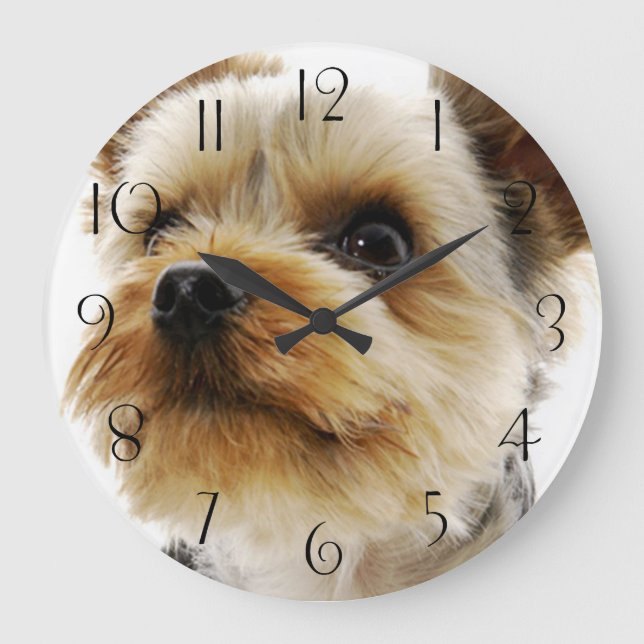 Großartiger Yorkshire Terrier Große Wanduhr (Vorderseite)