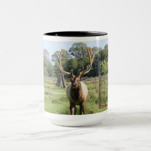 Großartiges Bull Elk Foto auf 15oz Combo-Tasse Tasse