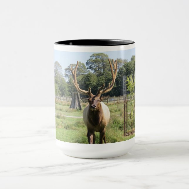 Großartiges Bull Elk Foto auf 15oz Combo-Tasse Tasse (Zentrum)
