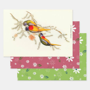 Großartiges Gras-Parakeet, Geschenk Geschenkpapier Set