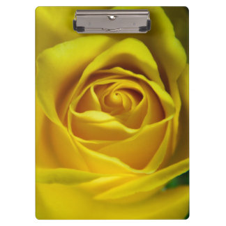 Großartiges Rosenmakro Klemmbrett