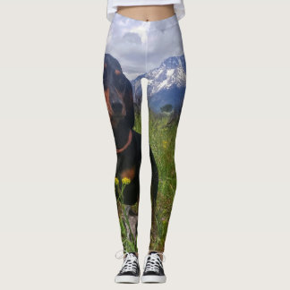 Großartiges Tetons Leggings