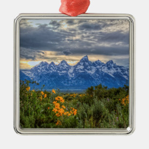 Großartiges Tetons Ornament Aus Metall