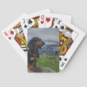 Großartiges Tetons Spielkarten