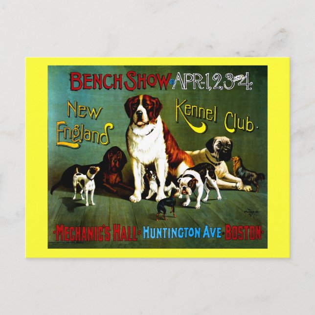 Großartiges Vollfarbenposter 1890 Vintager Hunde Postkarte (Vorderseite)