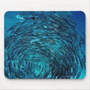 Großauge trevally (Caranx sexfasciatus), Mousepad