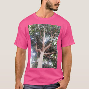 Großbaum im Wald 1 T-Shirt
