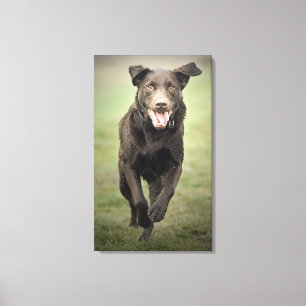 Großbritannien, England, Suffolk, Thetford Wald, Leinwanddruck