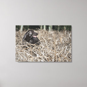 Großbritannien, England, Suffolk, Thetford Wald, Leinwanddruck