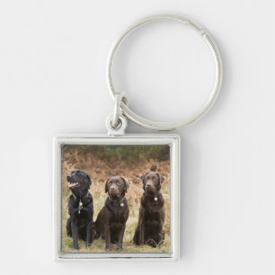 Großbritannien, England, Suffolk, Thetford Wald, Schlüsselanhänger