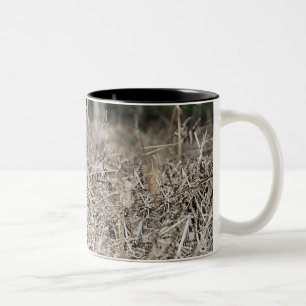 Großbritannien, England, Suffolk, Thetford Wald, Zweifarbige Tasse