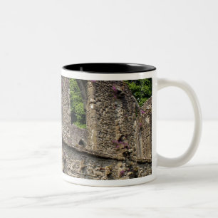 Großbritannien, Vereinigtes Königreich, Schottland Zweifarbige Tasse
