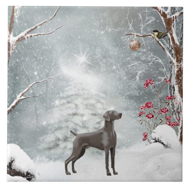 Große (6" X 6") Keramik Weimaraner Fliese (Vorderseite)