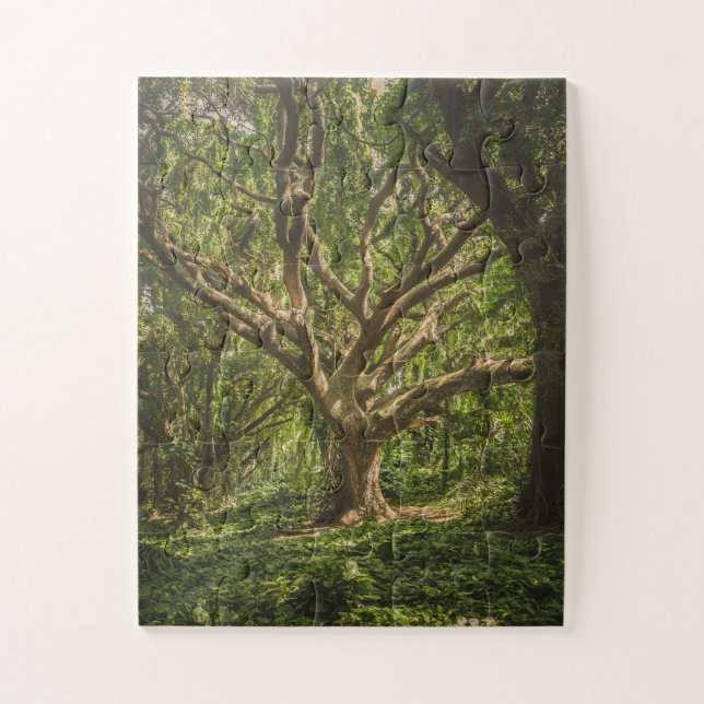 Große alte Bäume im Wald Puzzle (Vertikal)