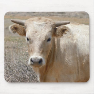 Große Augen-weißes Charolais-Vieh - Western Mousepad